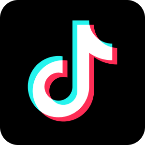 TikTok Logo